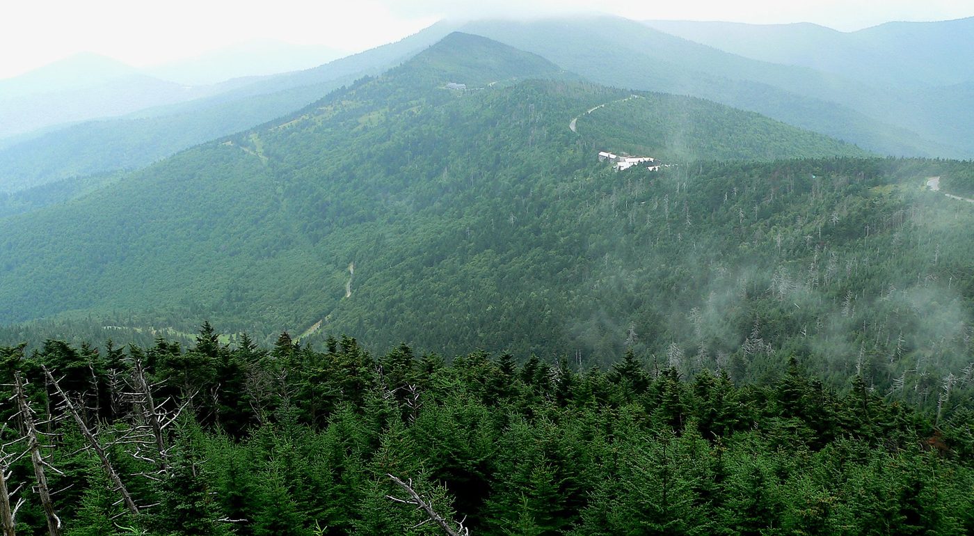 The Appalachian Hardwood Region: Oak, Cherry and Poplar Country