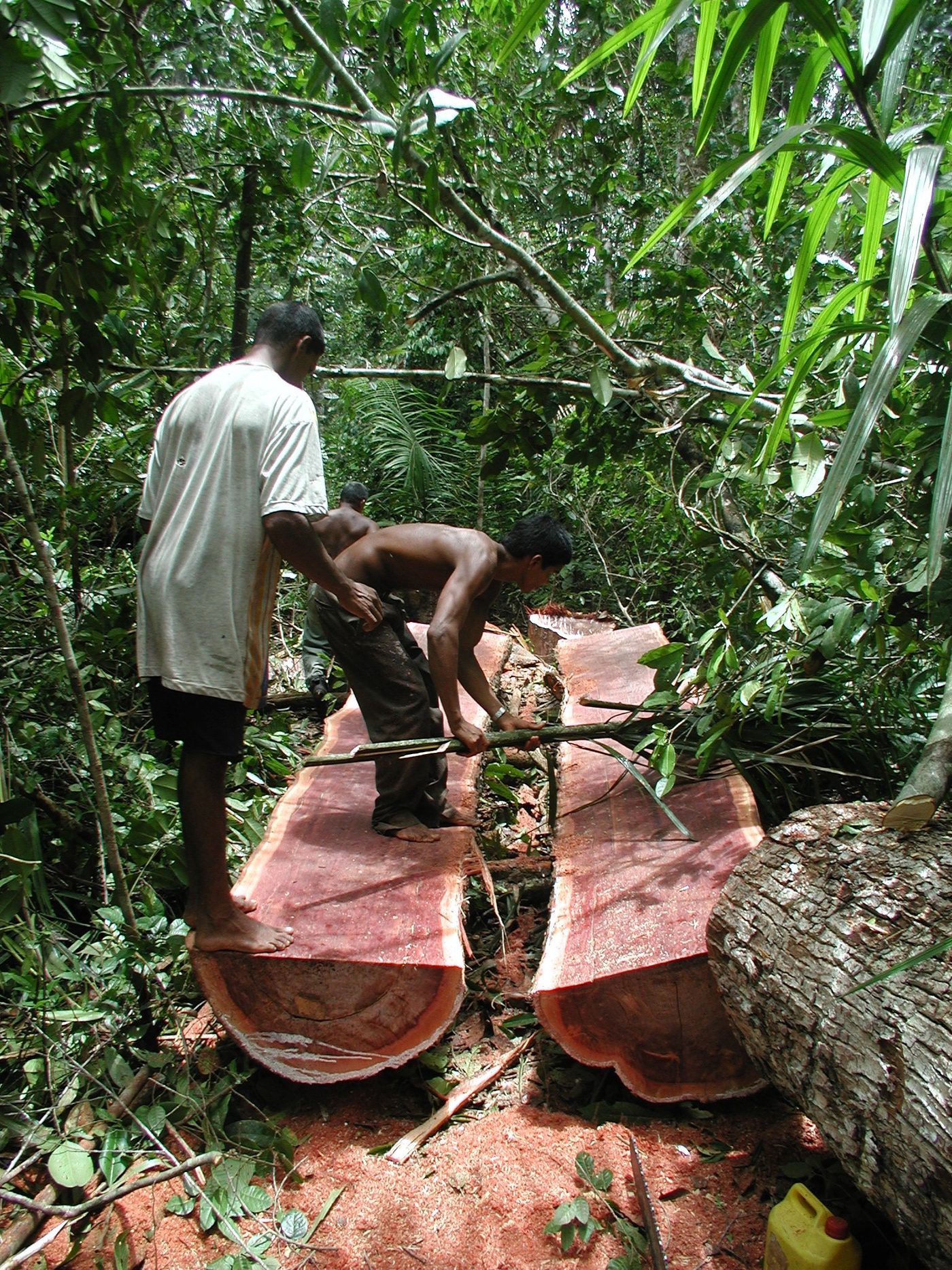 Best Chainsaw Mills