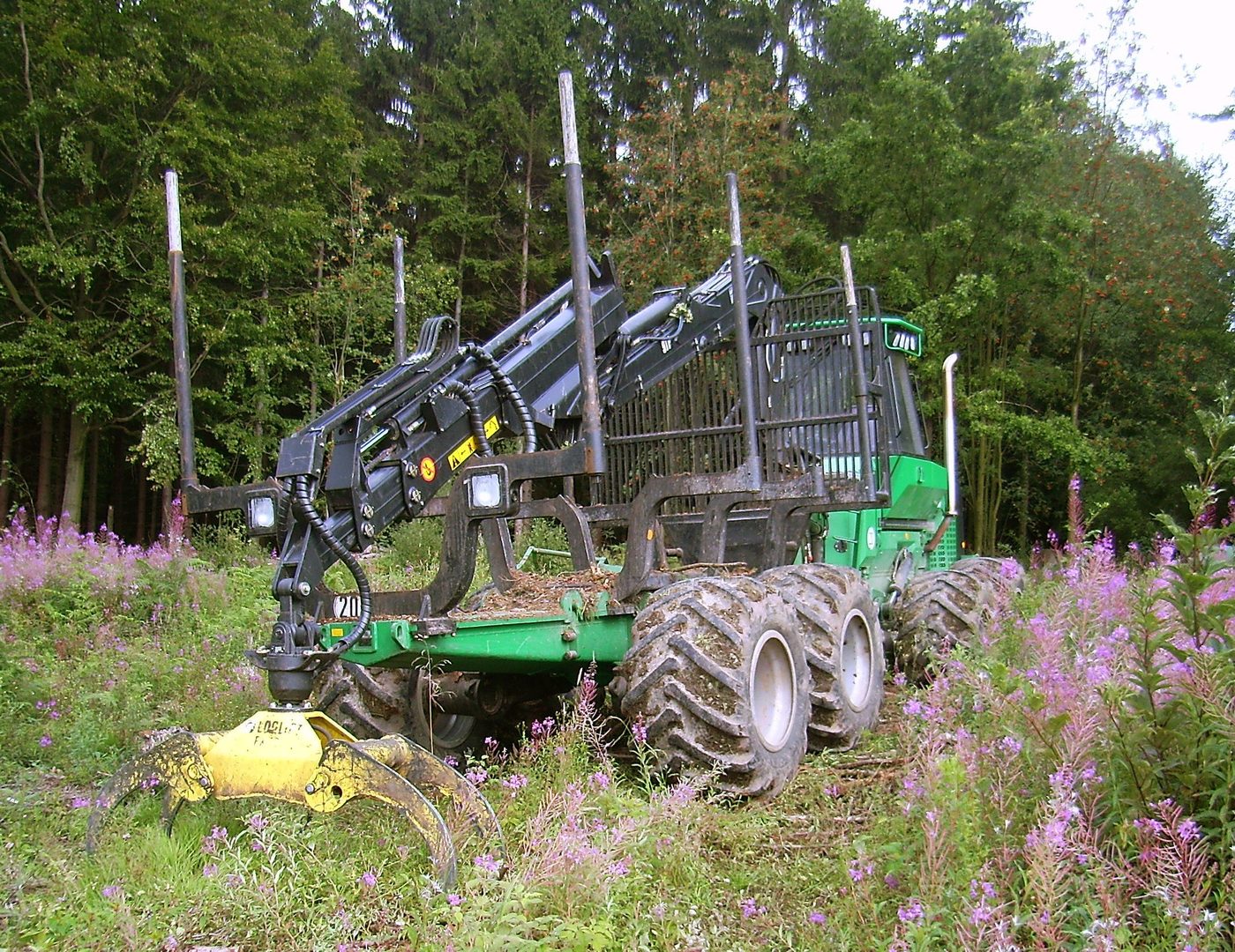 Best States for Timber Production and Starting a Sawmill