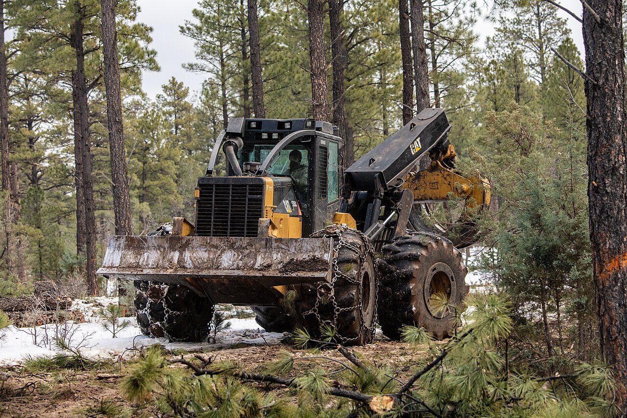 Caterpillar Forestry Equipment: The Full-Tree and Forest-Machine Lineup