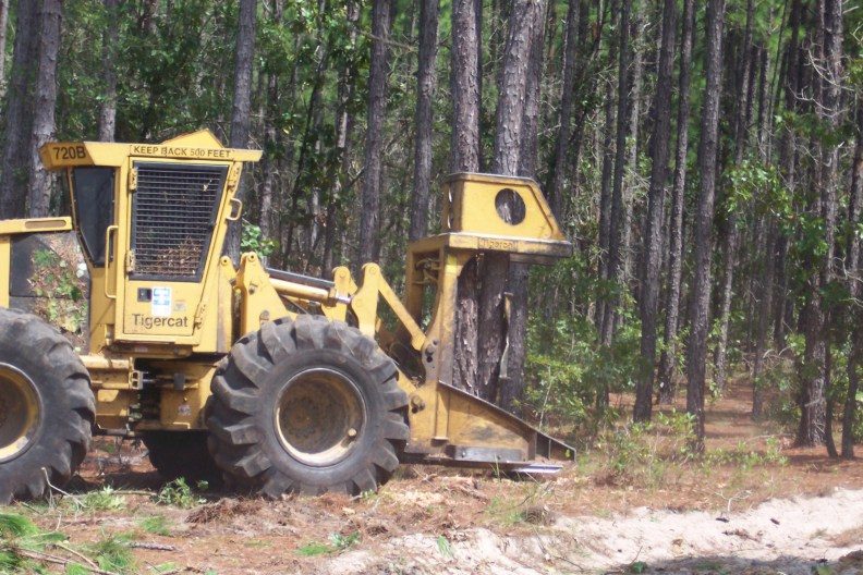 Feller Buncher Buying Guide: Track vs Wheel, Heads and Duty Cycle