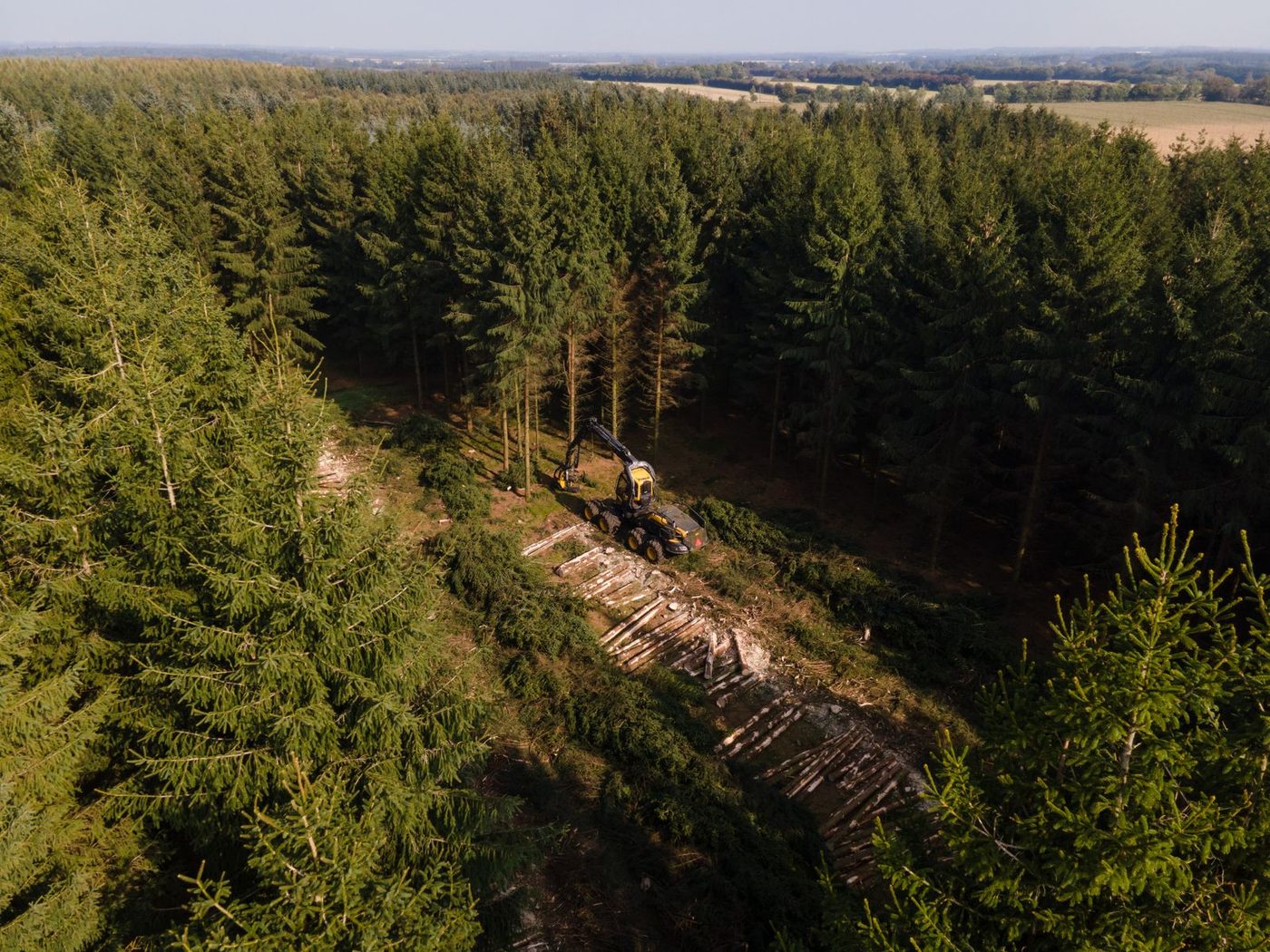Forestry Equipment Financing