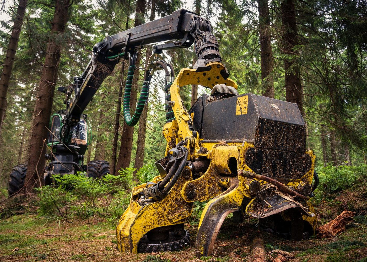 Forestry Equipment Insurance: What It Covers, What It Costs, What to Check