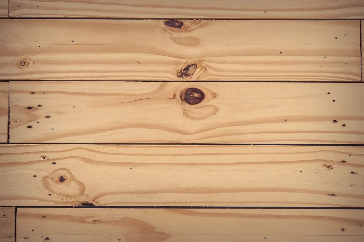 Hardwood vs Softwood: Density, Uses, Drying and Price Differences