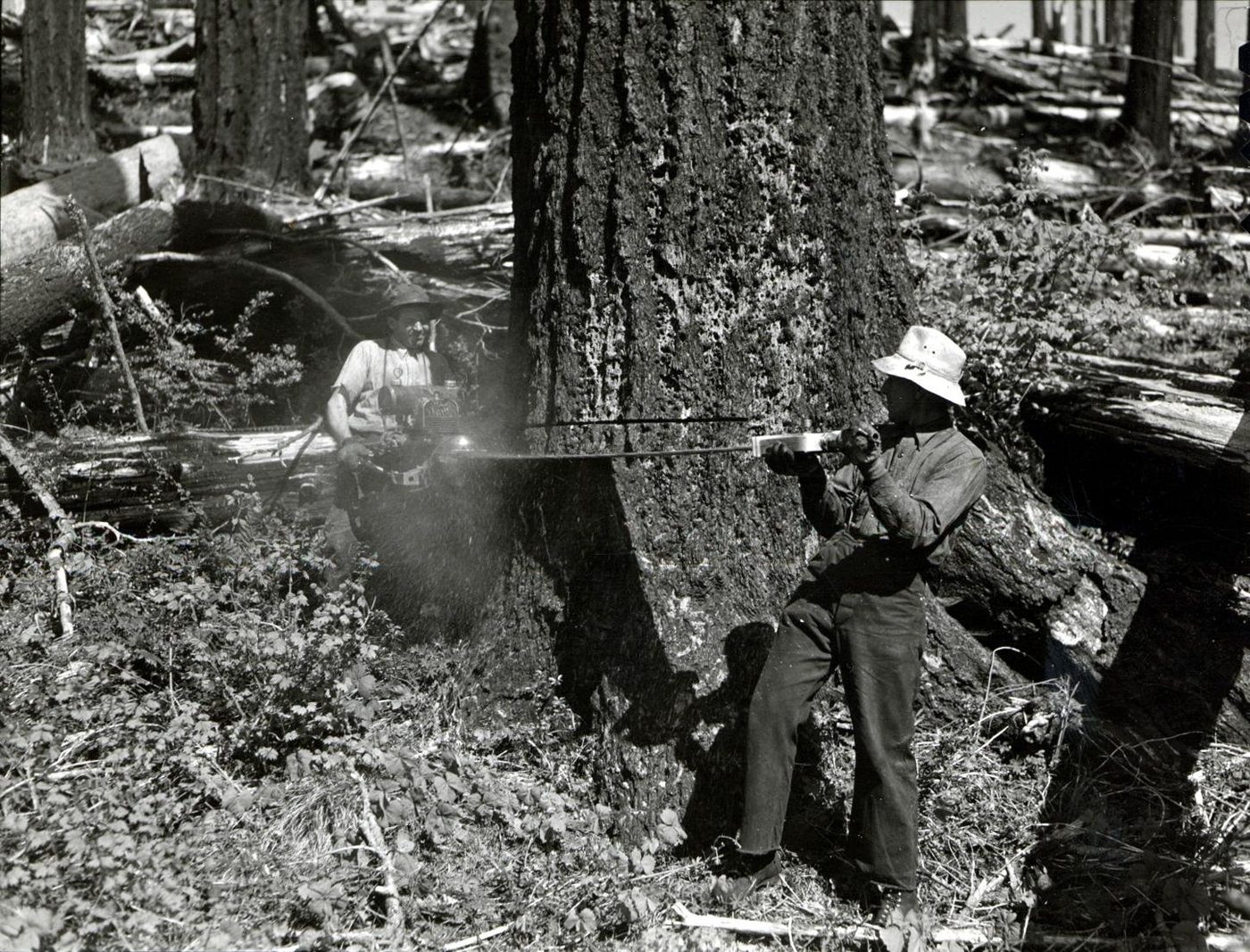 History of the Chainsaw: From Surgical Tool to Timber Workhorse