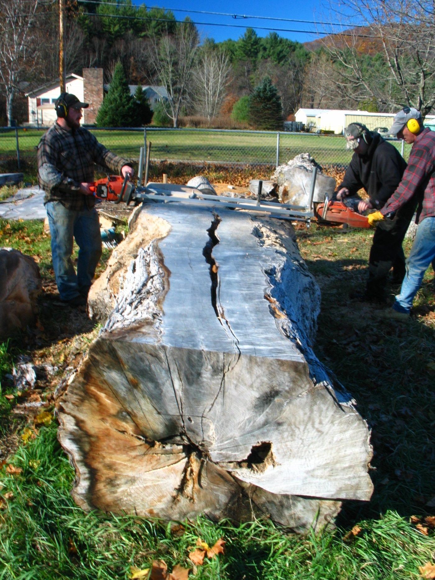 How to Make and Sell Live-Edge Slabs: Milling, Drying, Flattening and Pricing