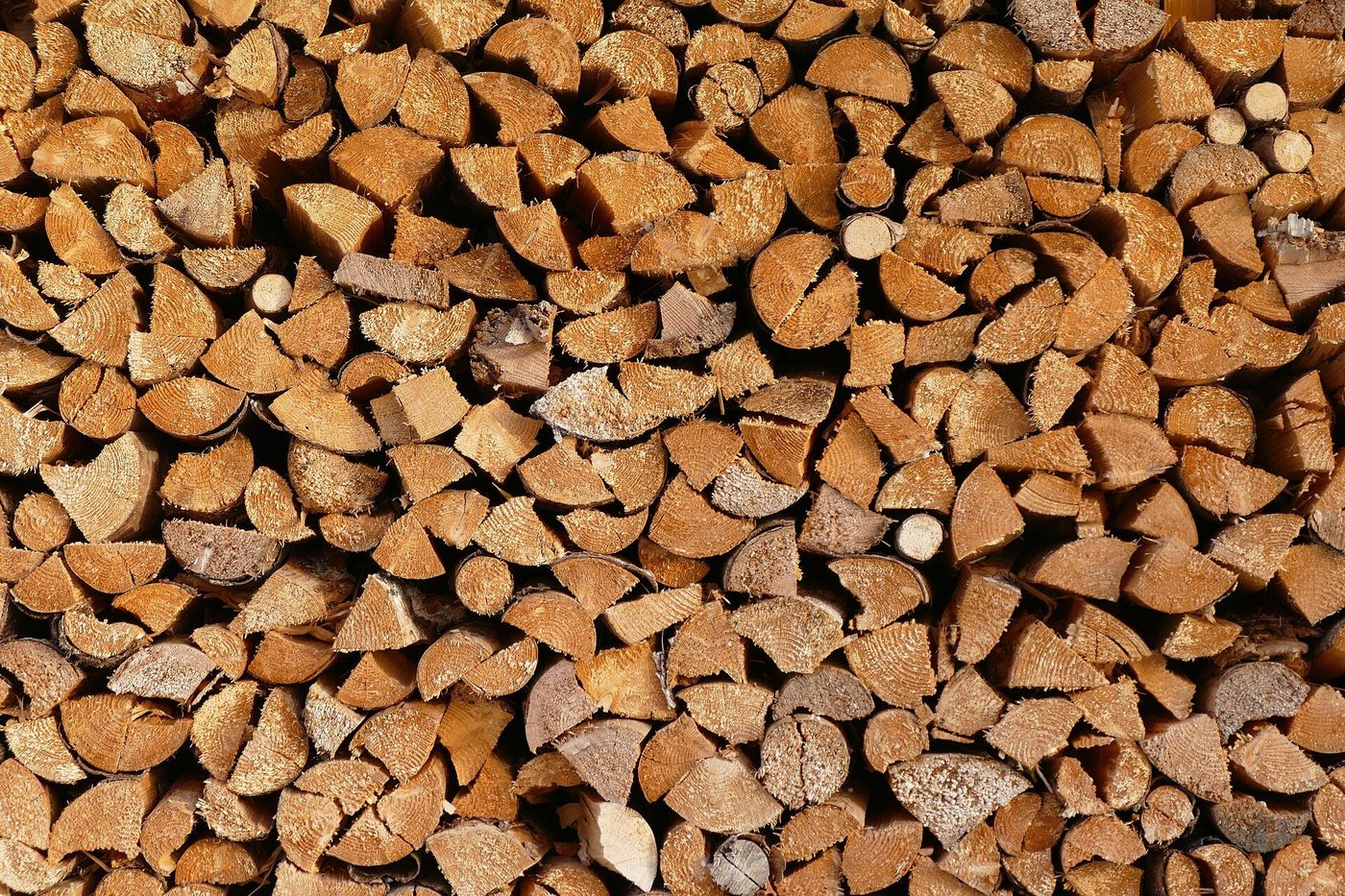 How to Price Firewood: Per Cord, Per Bundle and Delivered Pricing