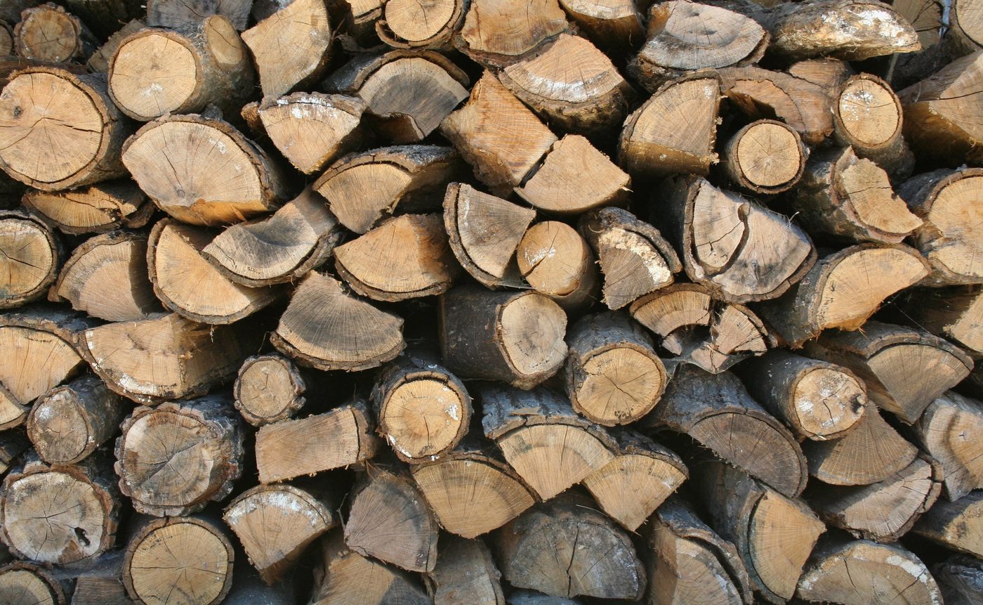 How to Start a Firewood Business: Equipment, Cords, Pricing and Customers