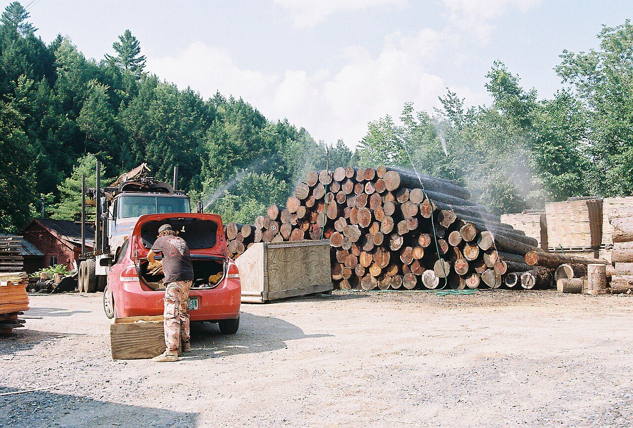 How to Start a Sawmill Business