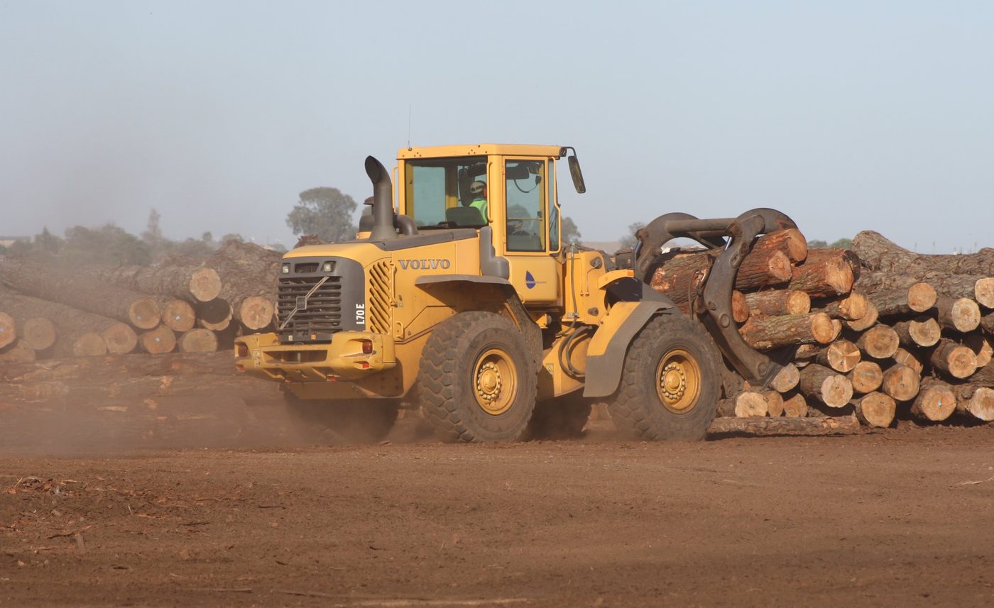 Log Loader Buying Guide for Timber Hauliers: Grapple Trucks Explained
