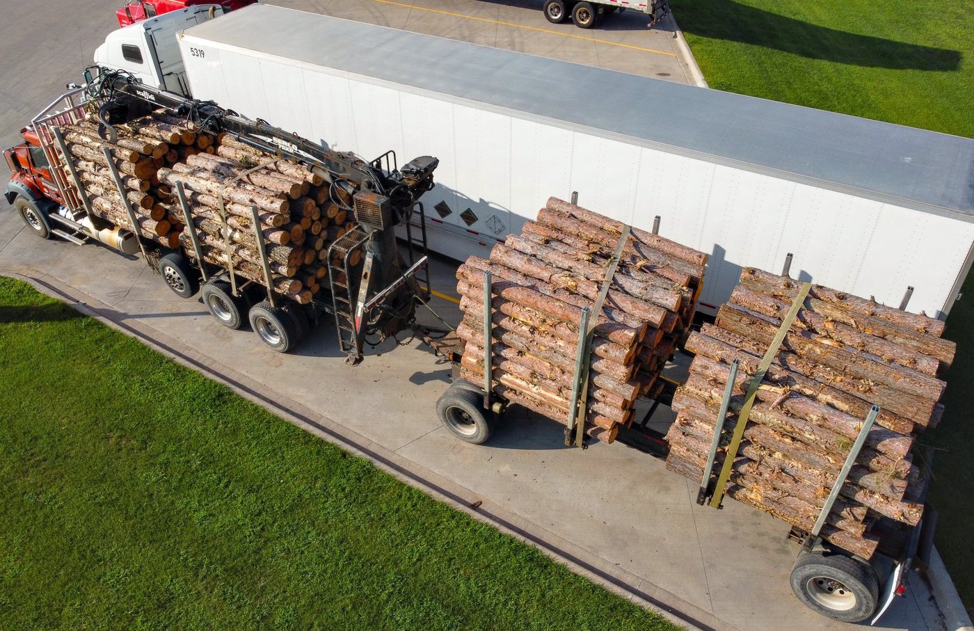 Log Truck Buying Guide: Self-Loaders, Weight Limits and Route Economics