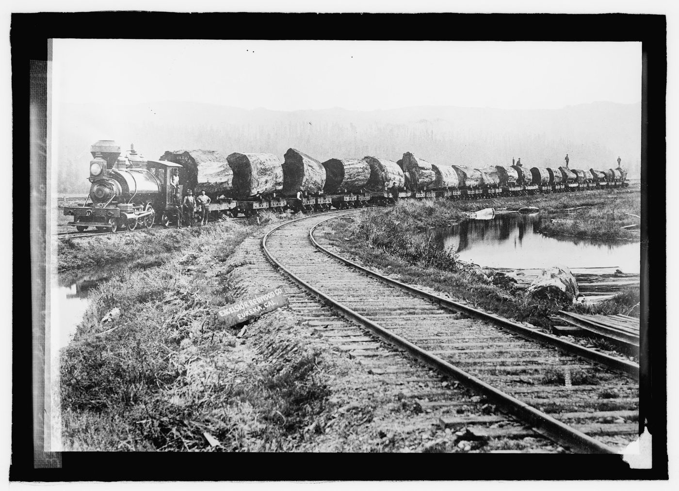 Lumber Industry in California: Sierra Nevada, Redwoods and Regulation