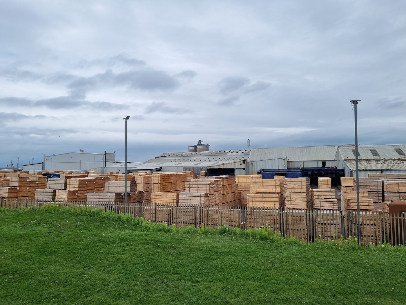 Lumber Prices per Board Foot by Species: How to Read and Use a Price List
