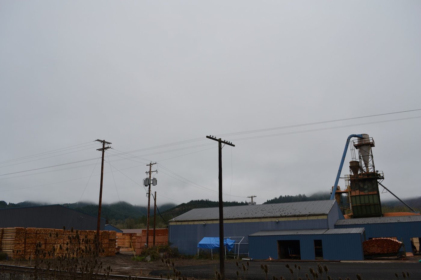 Lumber Production in Oregon