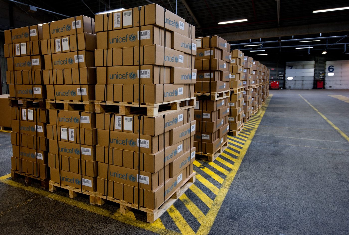Pallet Manufacturing Equipment: Saws, Nailers, Heat Treat and Recycling Kit