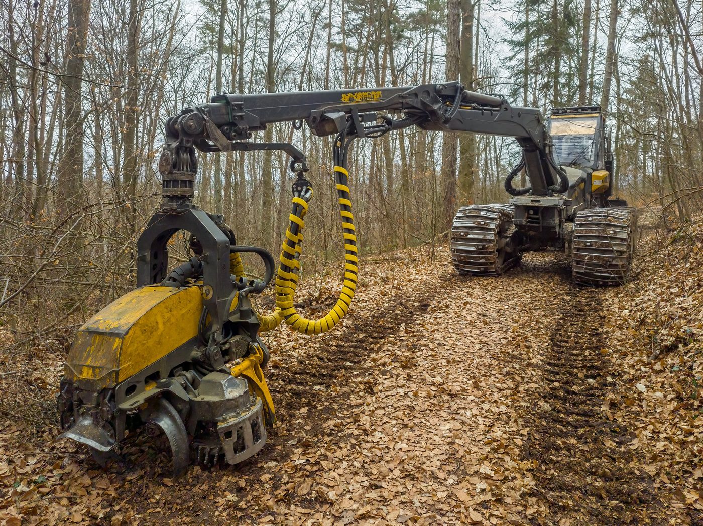 Ponsse Forestry Equipment: The Cut-to-Length Specialists