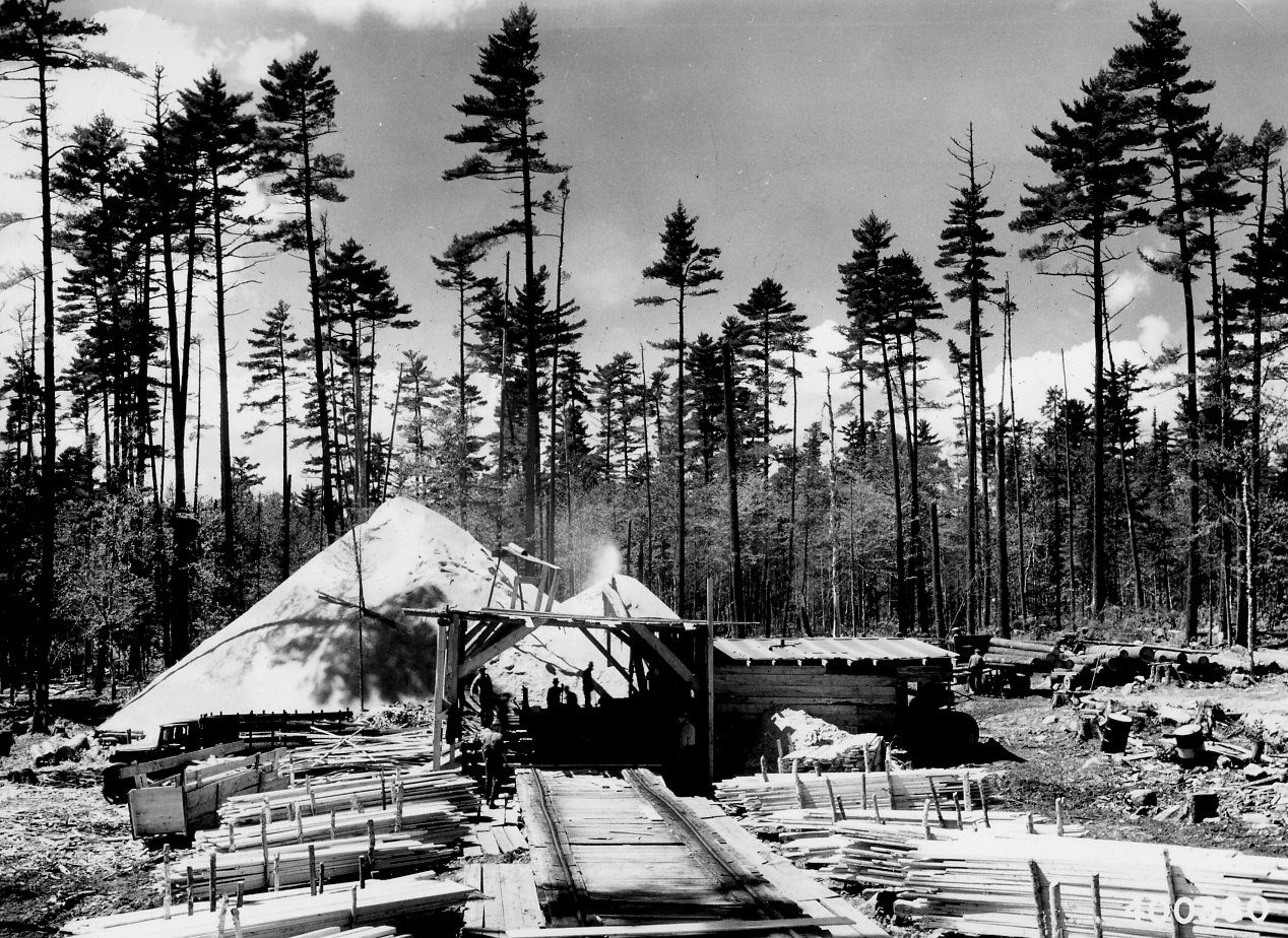 Portable Sawmill Prices
