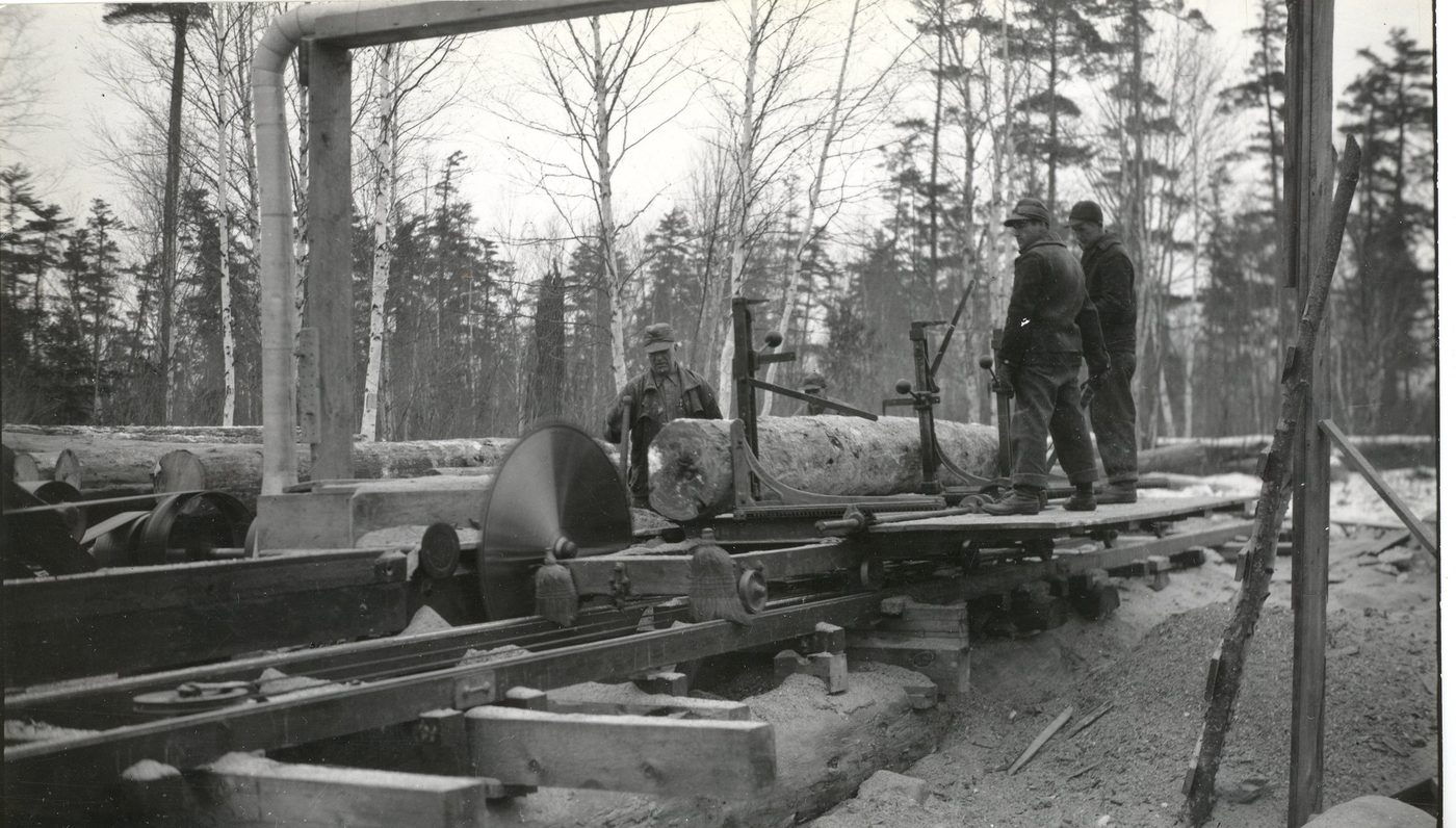 Salvage Timber Milling: Beetle-Kill Pine and Damaged Stands