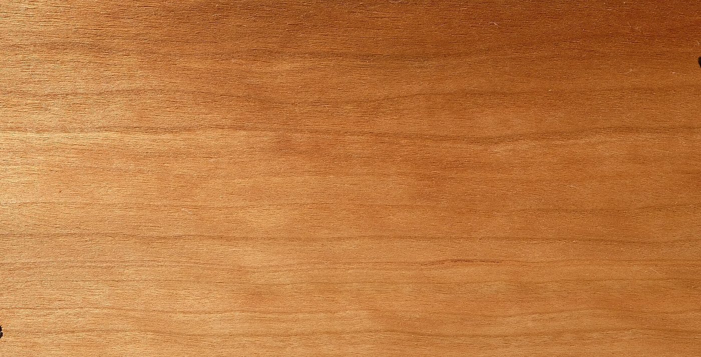 Black Cherry (Prunus serotina) wood and tree photograph