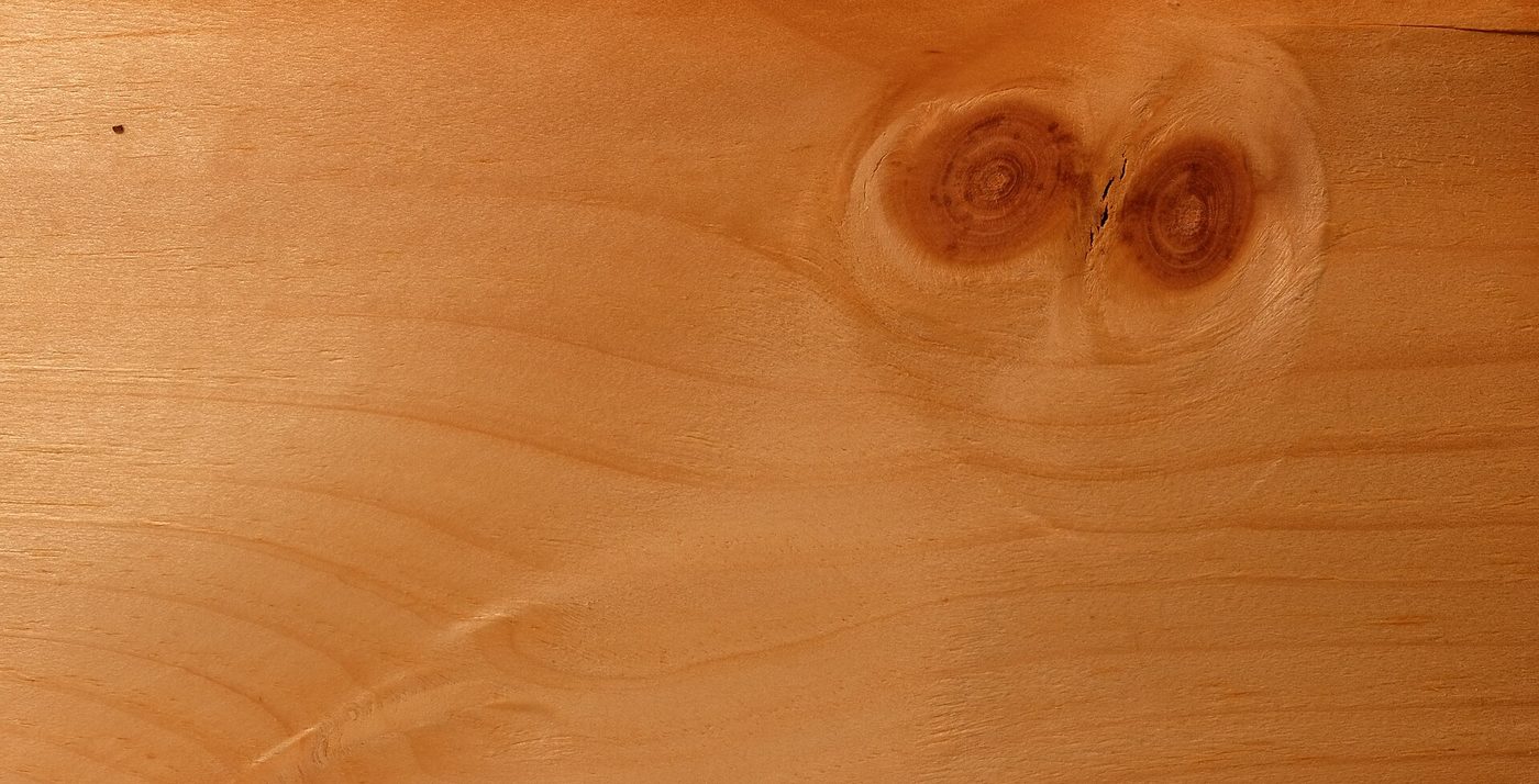 Eastern white pine (Pinus strobus L.) wood and tree photograph