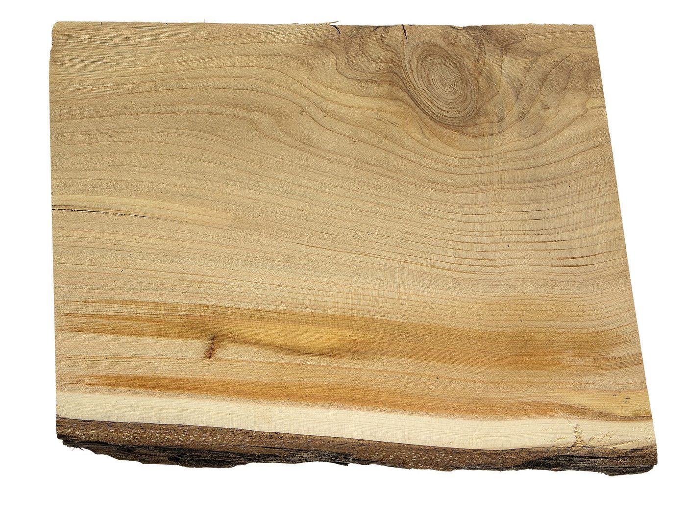 Incense Cedar (Calocedrus decurrens (Torrey) Florin) wood and tree photograph