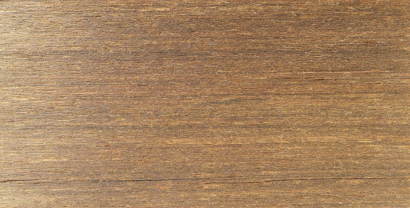 Ipe (Tabebuia spp.) wood and tree photograph