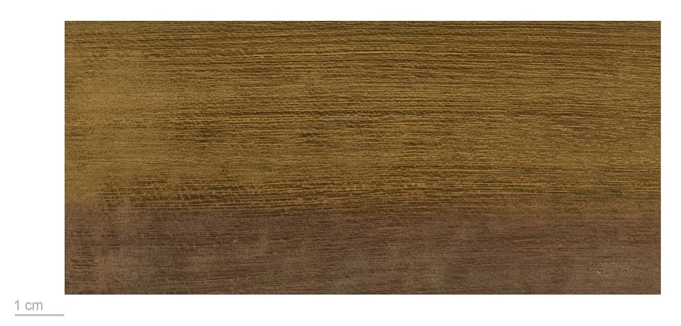 Purpleheart (Peltogyne spp.) wood and tree photograph