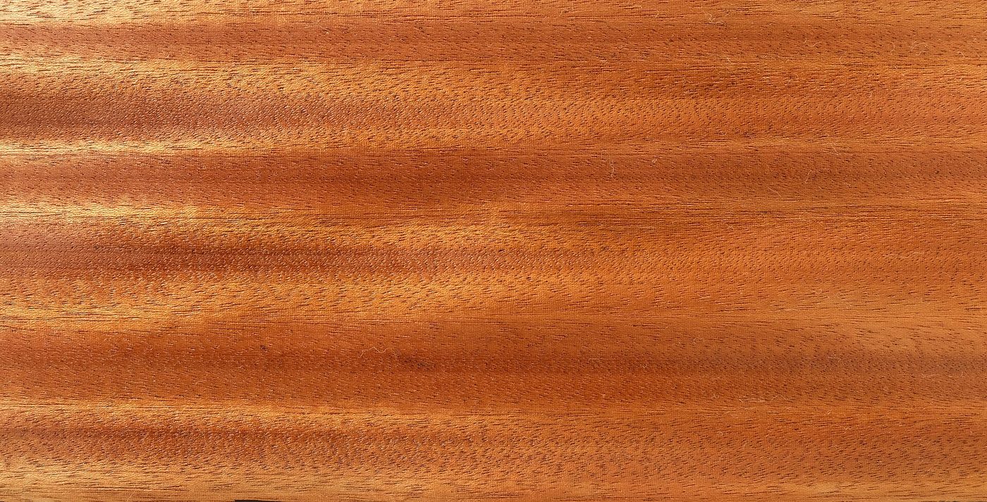 Sapele (Entandrophragma cylindricum) wood and tree photograph